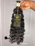 Burmese Curly